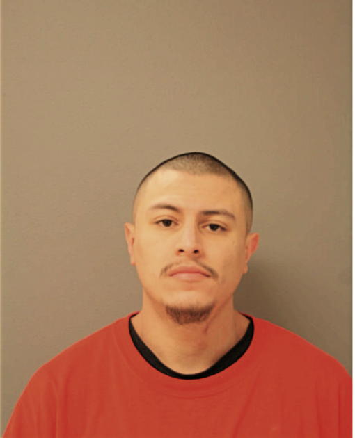FERNANDO LUIS GOMEZ, Cook County, Illinois