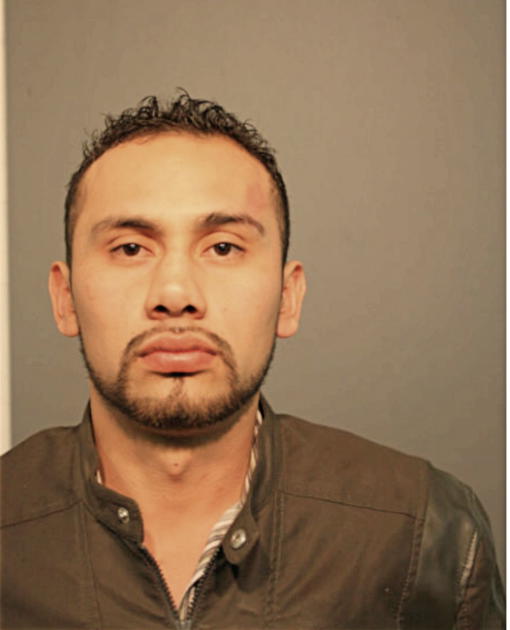 ERANDI GONZALEZ, Cook County, Illinois
