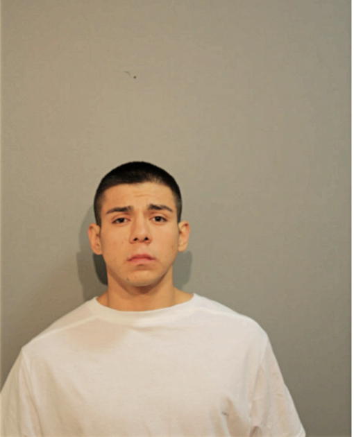 MARCEL P HERNANDEZ, Cook County, Illinois