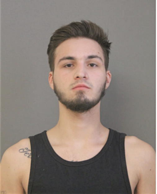 ANTHONY EMMANUEL IMBURGIA, Cook County, Illinois