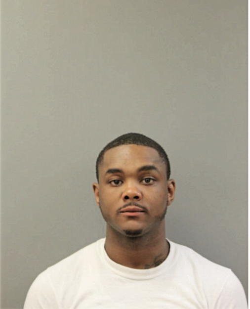 BRUCE A JAMES, Cook County, Illinois