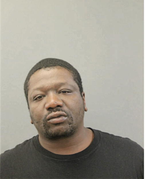 JAMES J JOHNSON, Cook County, Illinois