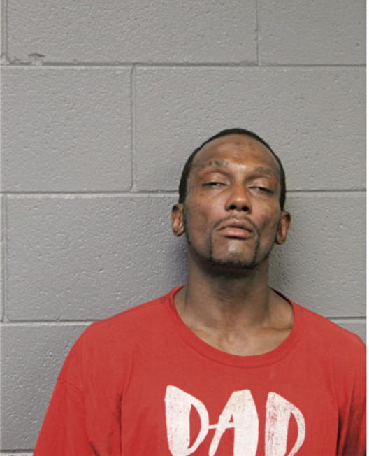 ROBERT L JOHNSON, Cook County, Illinois