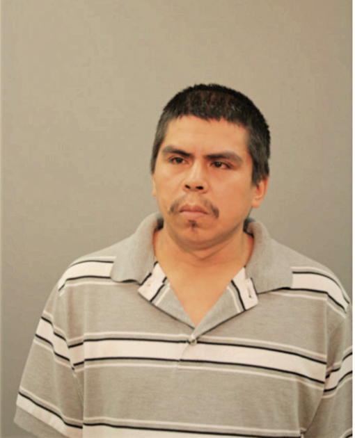 ROBERTO LAGUNAS, Cook County, Illinois