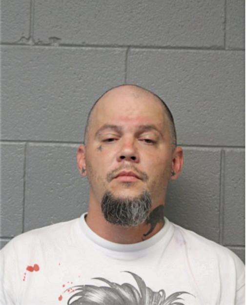 BRIAN M LITERSKI, Cook County, Illinois