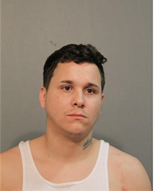 MICHAEL A ORTIZ, Cook County, Illinois