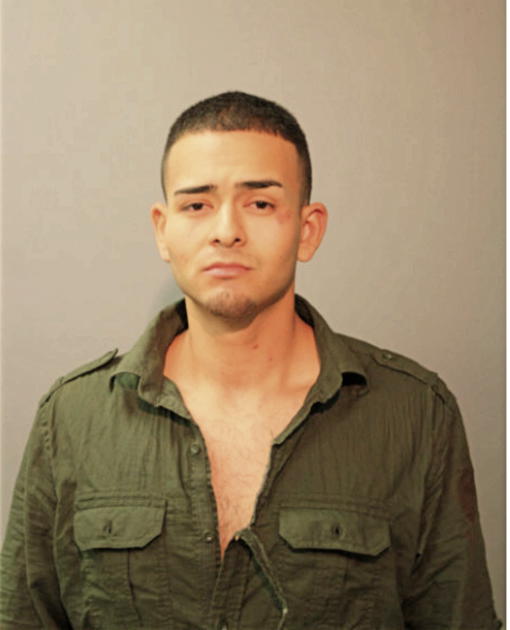 JOEL ROBERT SAAVEDRA, Cook County, Illinois
