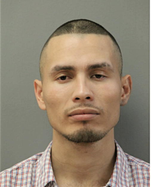 EDUARDO SALGADO, Cook County, Illinois