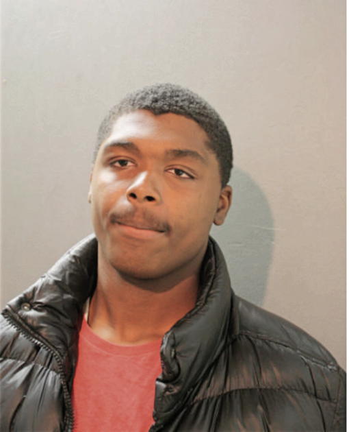 CLEVIS L SAMPSON, Cook County, Illinois