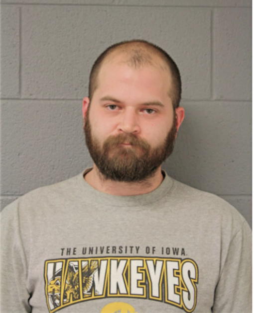 MICHAEL J SIROIN, Cook County, Illinois