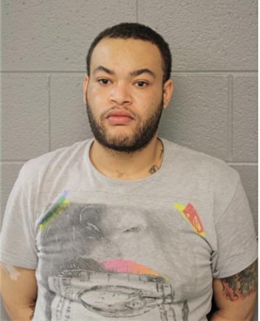 DAVID P THOMAS, Cook County, Illinois