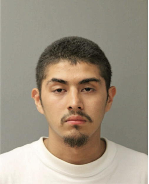 JOSE E ABEJA, Cook County, Illinois