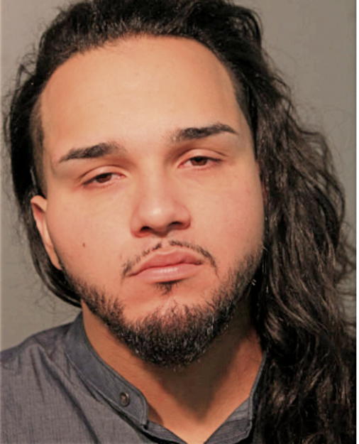 NICHOLAS A ALMANZA, Cook County, Illinois