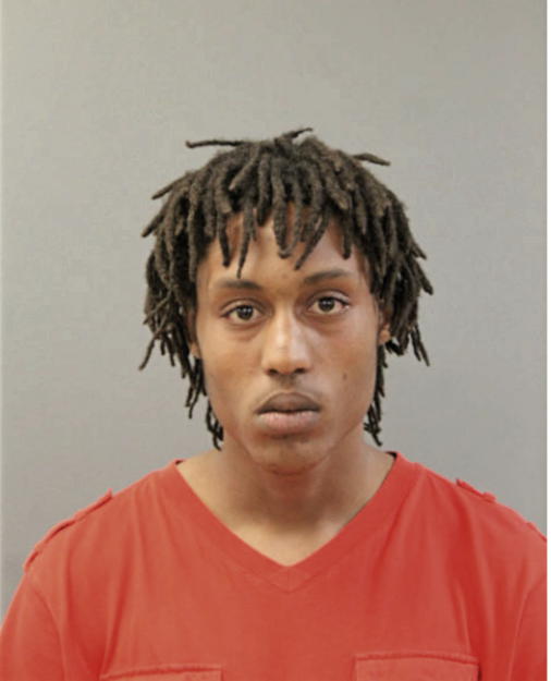 RONNIE S ALVES, Cook County, Illinois