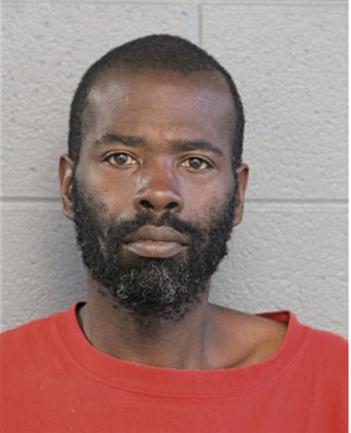 CHRISTOPHER L AUSTIN, Cook County, Illinois