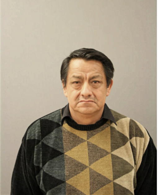 LUIS ALEJANDRO BERMEO-PINEDA, Cook County, Illinois