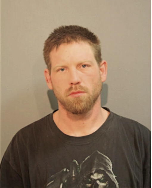 SHAWN M BOERSMA, Cook County, Illinois