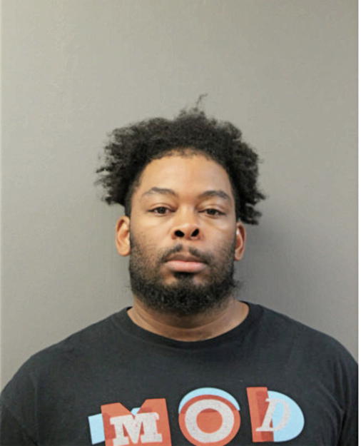 GABRIEL M BROWN, Cook County, Illinois