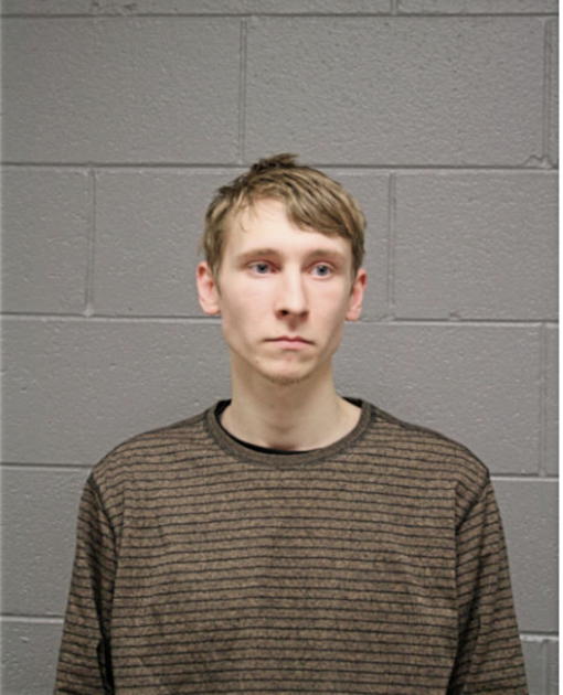 ANDREW P BUJDASZ, Cook County, Illinois