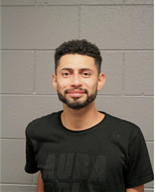 CHRISTOPHER M BURNS, Cook County, Illinois