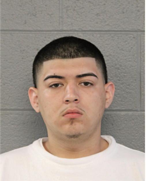 TOMAS M DIAZ, Cook County, Illinois