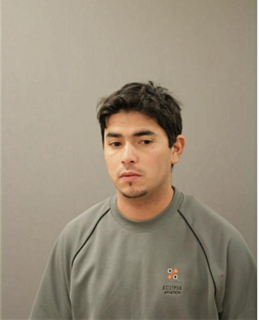 HECTOR FLORES, Cook County, Illinois