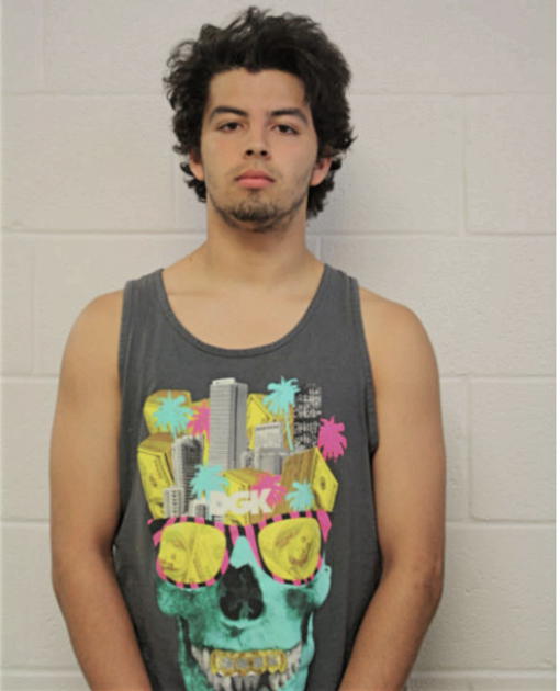 JUSTIN DAKOTA GARCIA, Cook County, Illinois