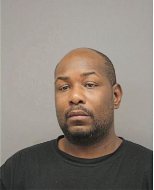STEVEN L HAMILTON, Cook County, Illinois