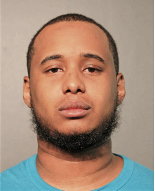 TORIAN L HANSBROUGH, Cook County, Illinois