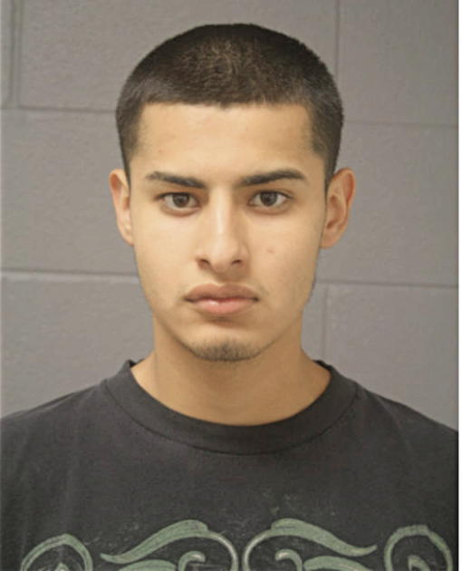 VICENTE HERRERA, Cook County, Illinois