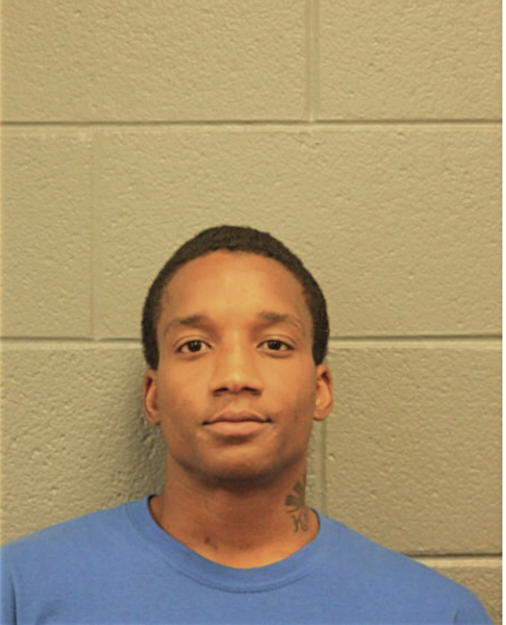 MICHAEL L LARES, Cook County, Illinois