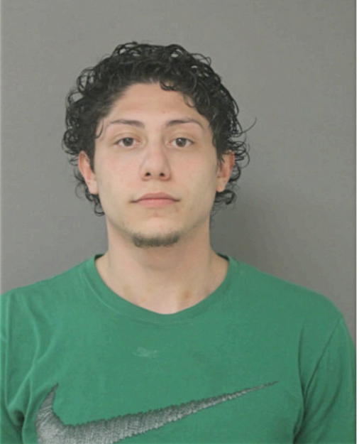 JUAN C LIQUE, Cook County, Illinois