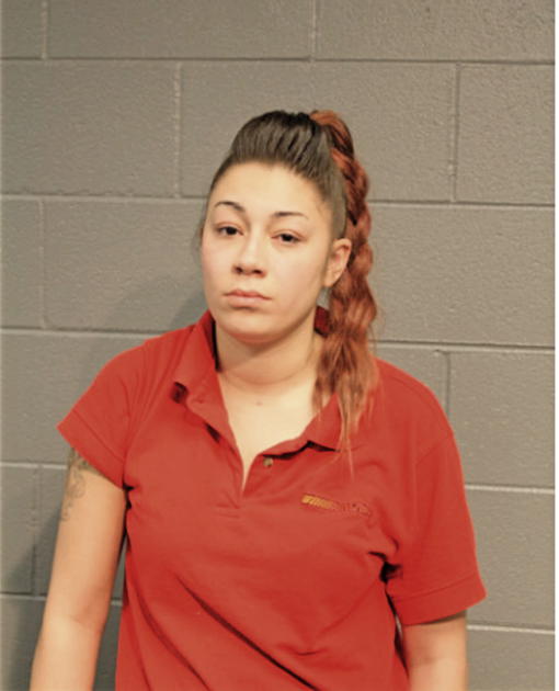 NILANI A MALDONADO, Cook County, Illinois