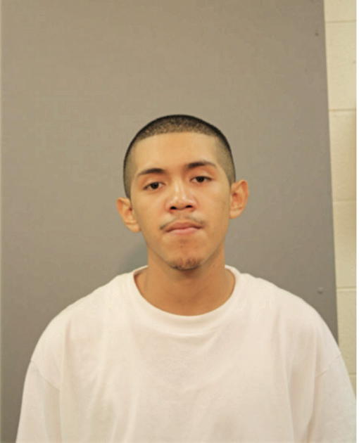MICHAEL A MARTINEZ, Cook County, Illinois