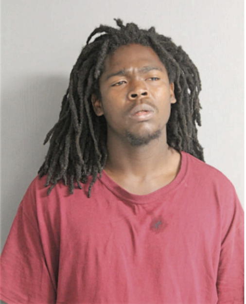 TRAVIS T MATTHEWS, Cook County, Illinois
