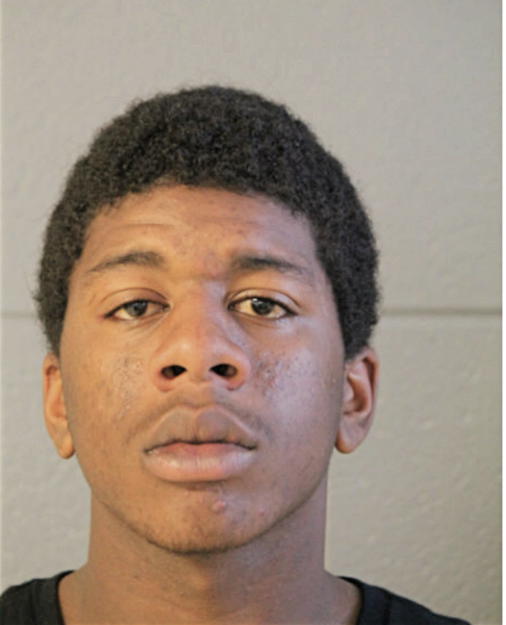 KENNETH W MERRITT, Cook County, Illinois