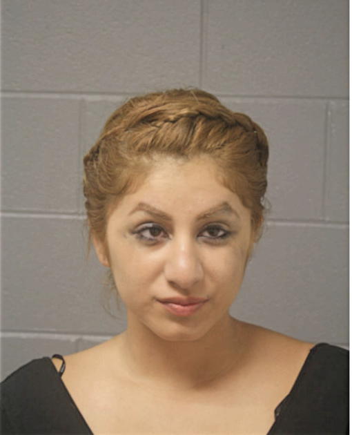 ADRIANA PEREZ, Cook County, Illinois