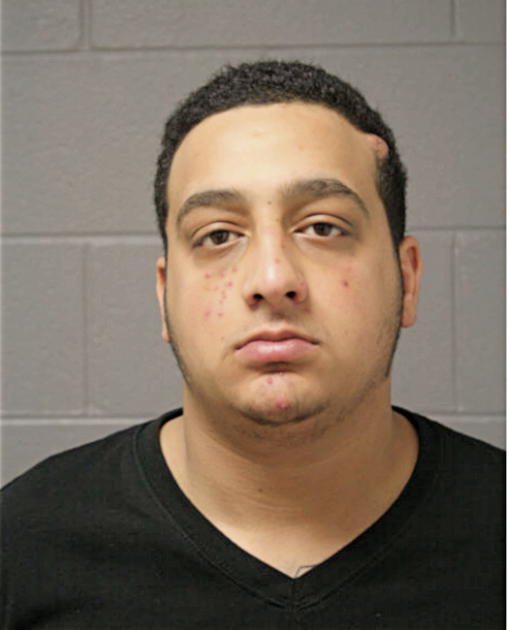 ABDELRAHMA RAMADAN, Cook County, Illinois