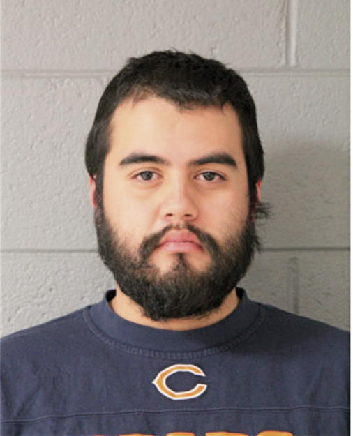 DARIO R RODRIGUEZ, Cook County, Illinois