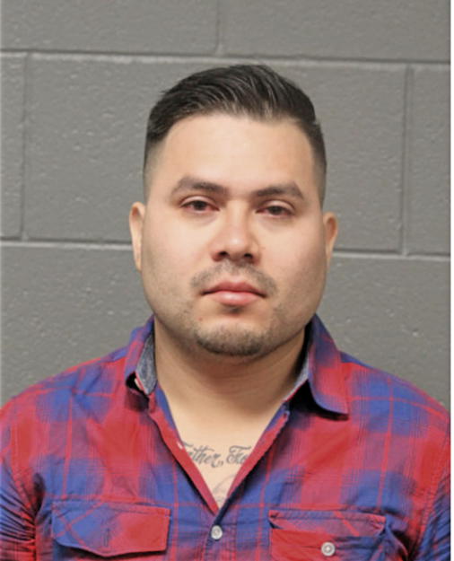 KENNY ROMAN, Cook County, Illinois