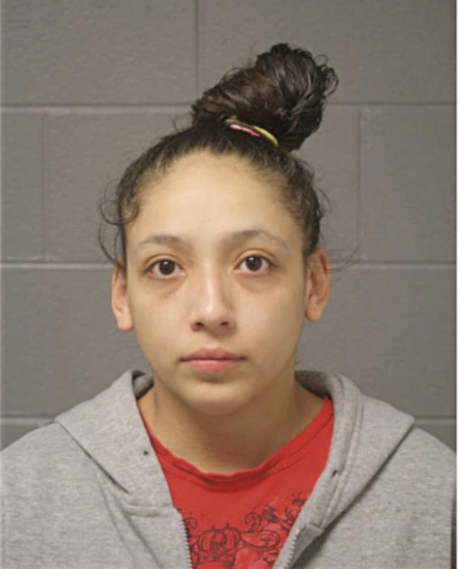 SANDRA S RUBIO, Cook County, Illinois