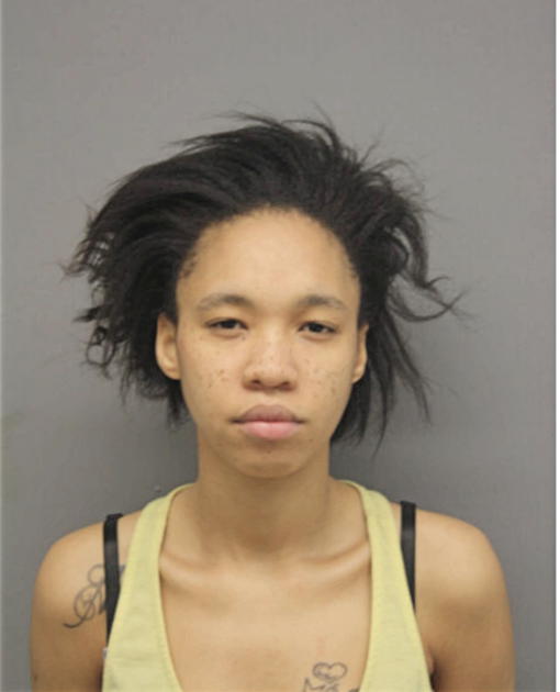 YVETTE S TERRELL, Cook County, Illinois