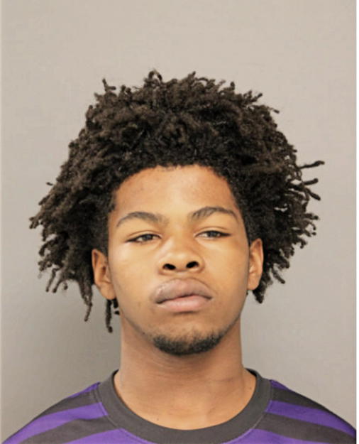 DAVID L THOMPSON, Cook County, Illinois