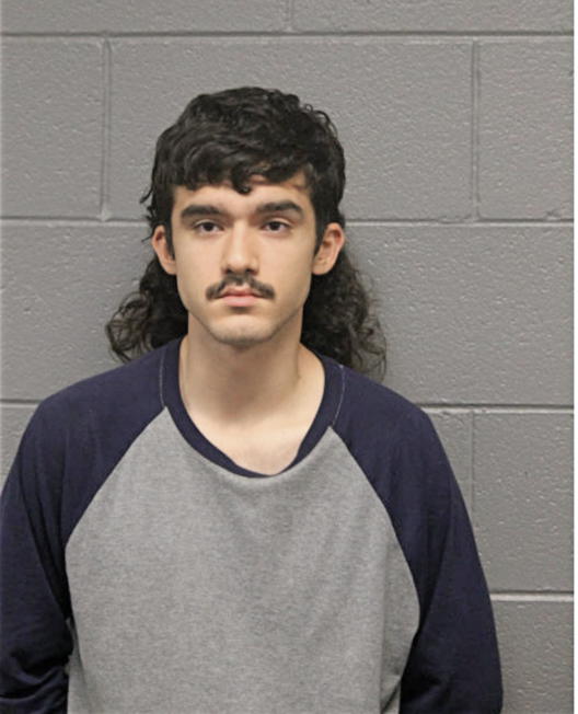 LUIS A TREJO, Cook County, Illinois