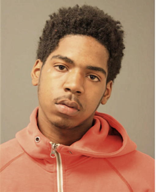 CHARLES G BROWN, Cook County, Illinois