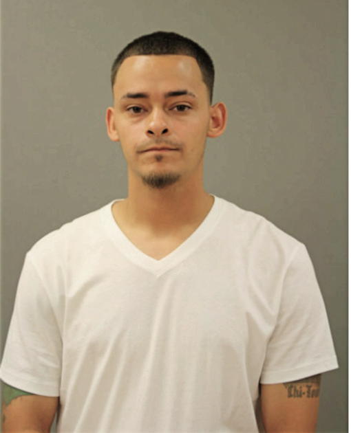 JOEL A CALDERON, Cook County, Illinois