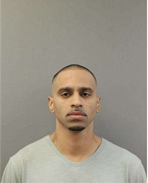 LUIS A COTTO, Cook County, Illinois