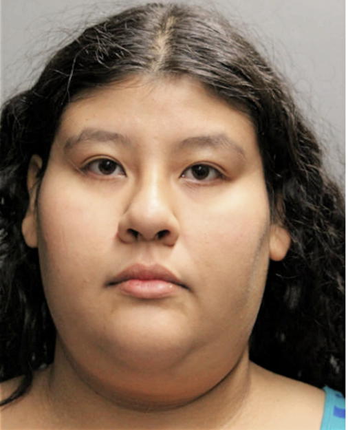ELIZABETH DIAZ, Cook County, Illinois