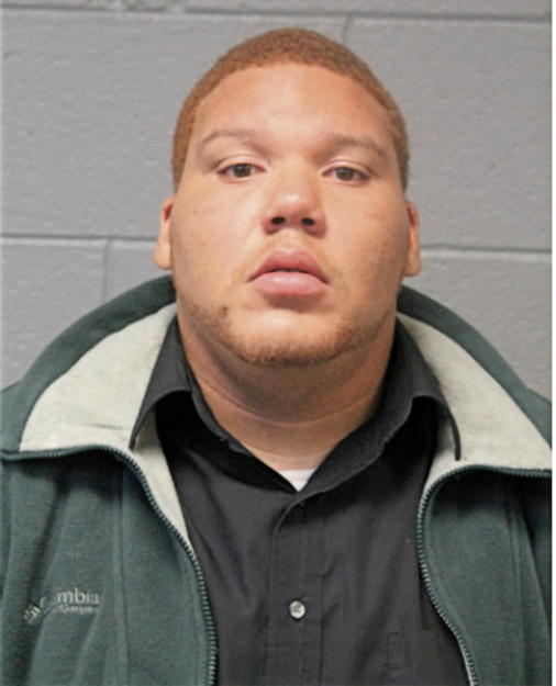 DEVONYE W DREUX, Cook County, Illinois