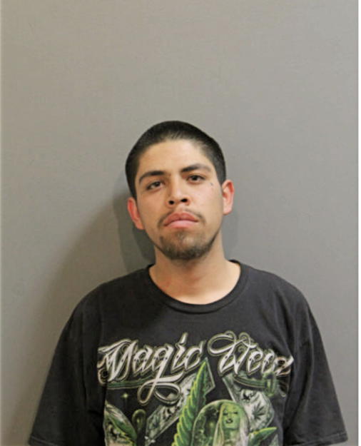 HERIBERTO A GONZALEZ, Cook County, Illinois
